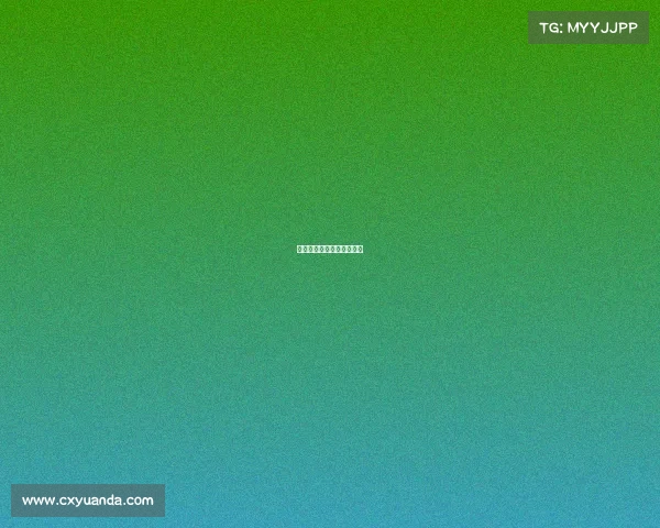 女排赛事奖金中国女排奖金